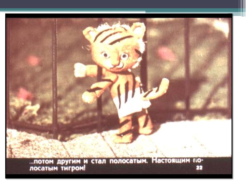 Когда родился тигренок Бинки? Почему тигренок Бинки родился без полосок? Почему мама-тигрица будет любить